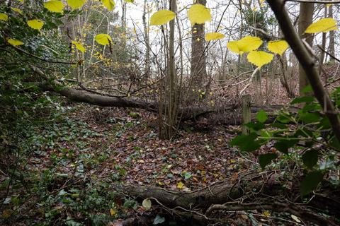 Stone House Bashurst Copse, Itchingfield, Horsham, RH13 0NZ