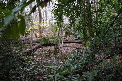 Stone House Bashurst Copse, Itchingfield, Horsham, RH13 0NZ