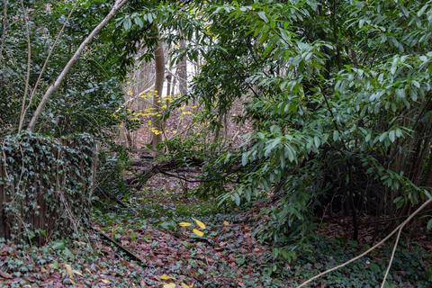 Stone House Bashurst Copse, Itchingfield, Horsham, RH13 0NZ