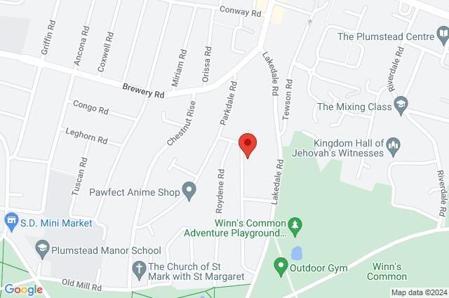 Google Maps Image