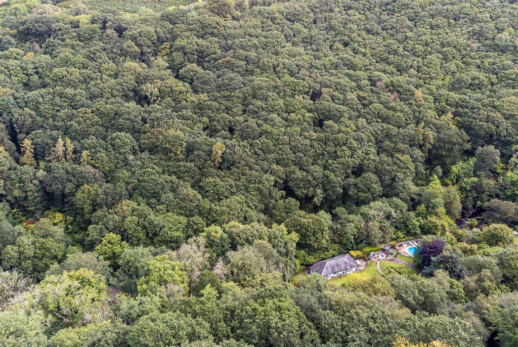 Drone View