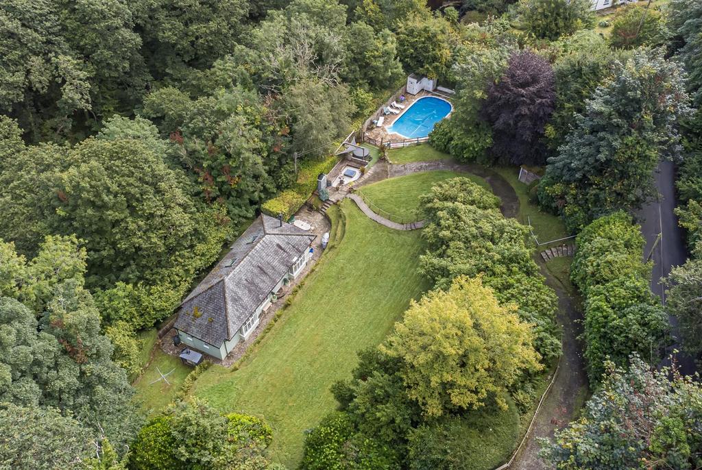 Drone View