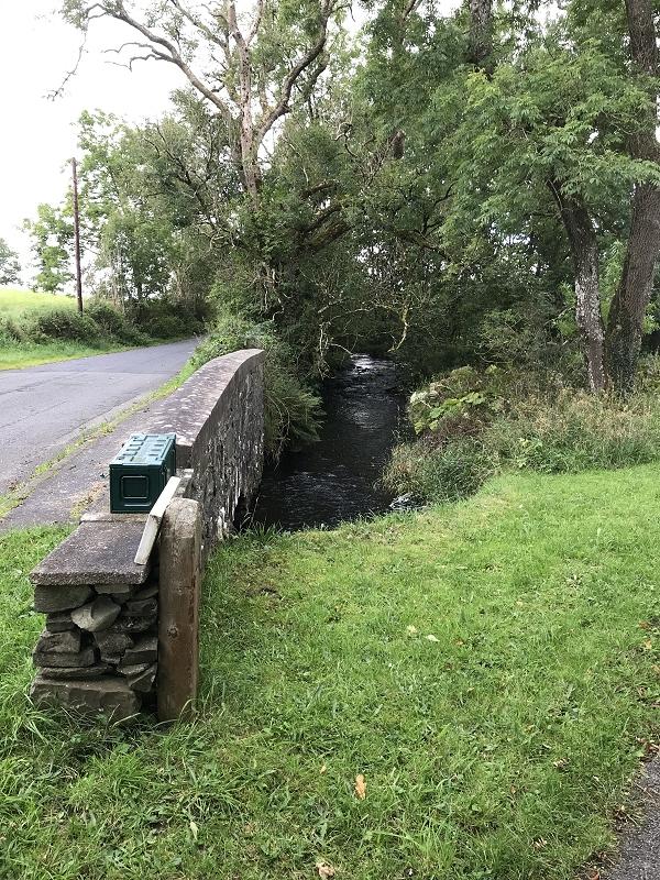 View from Driveway