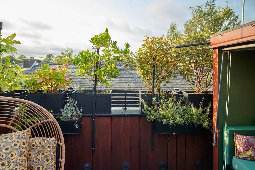 Terrace Views