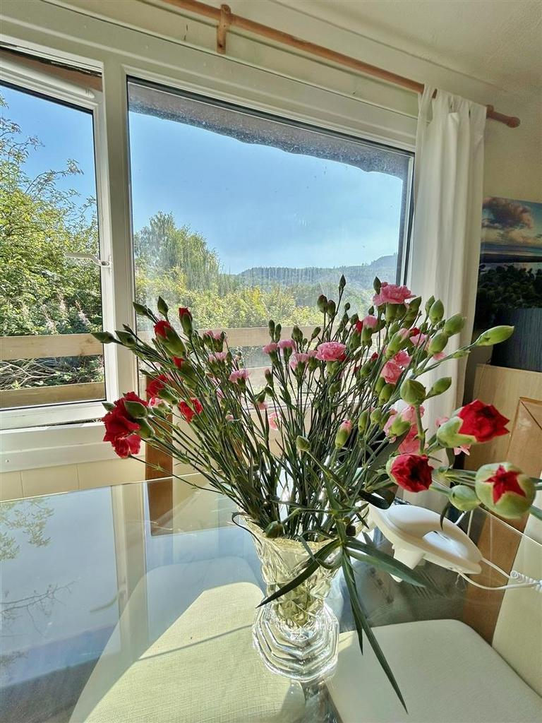 Dining view