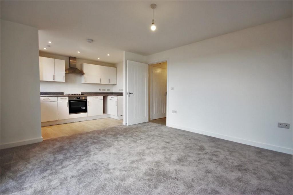 Kitchen/Living/Dinin