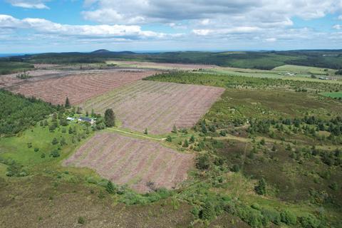 Woodland for sale, Fernking Wood, Near Keith, Morayshire AB55