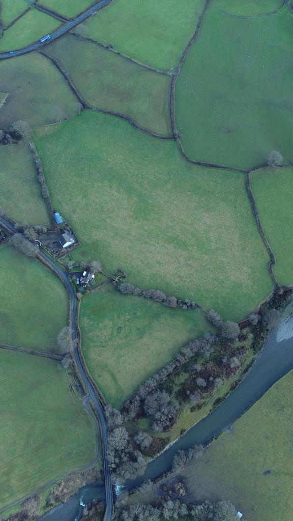 The land