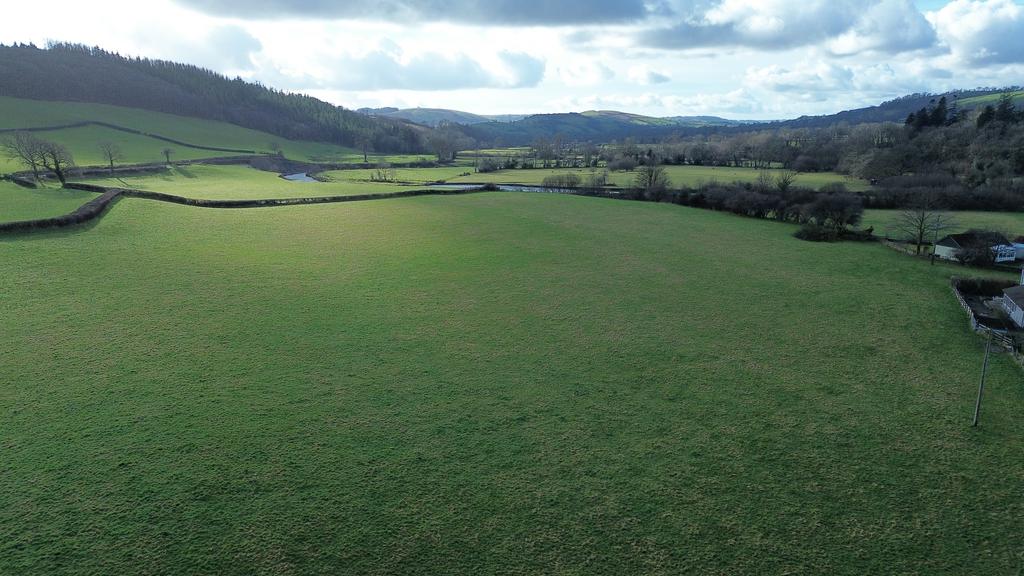 The land