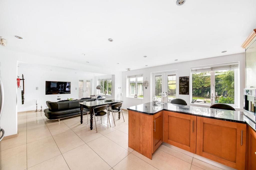 Living dining kitchen