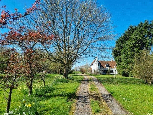 Garden and Driveway