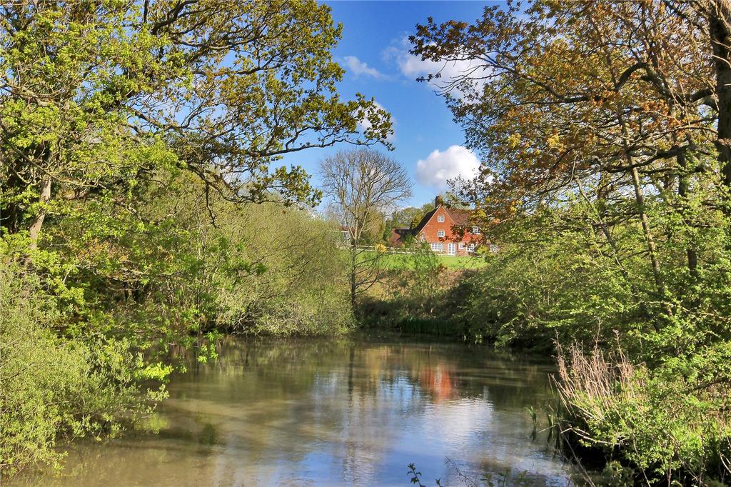 View From Pond