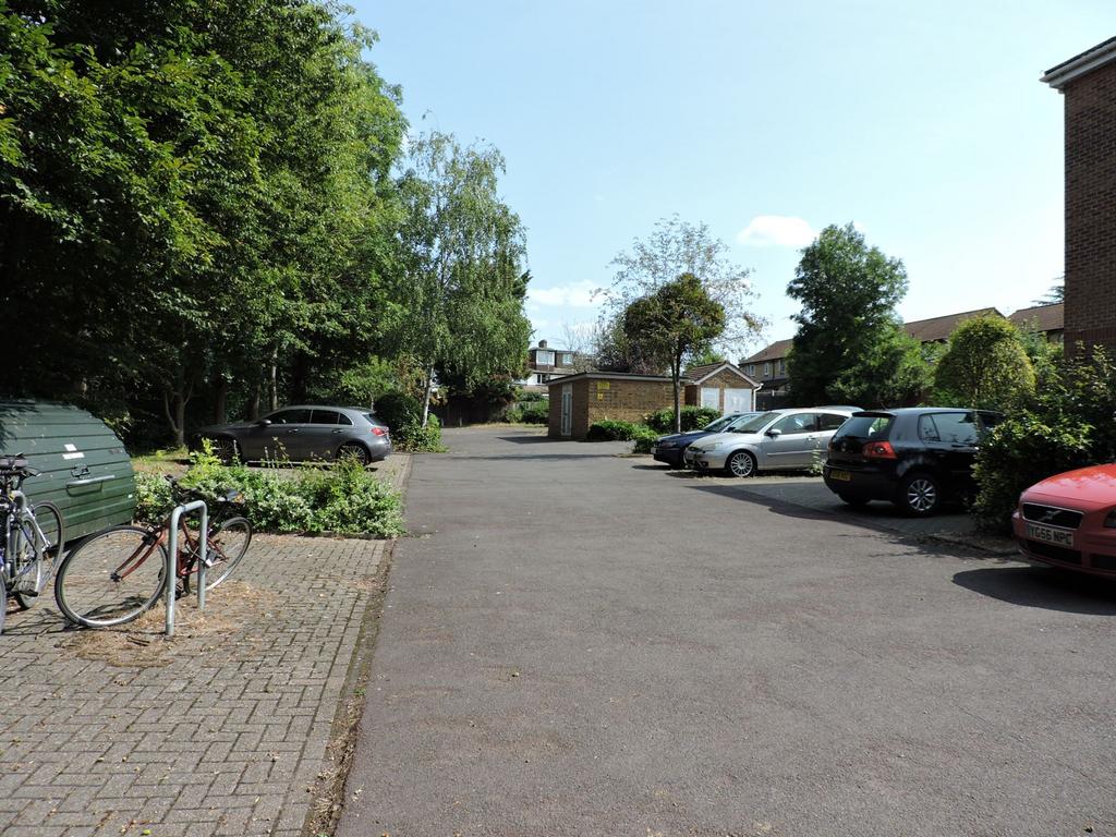 Photograph 3