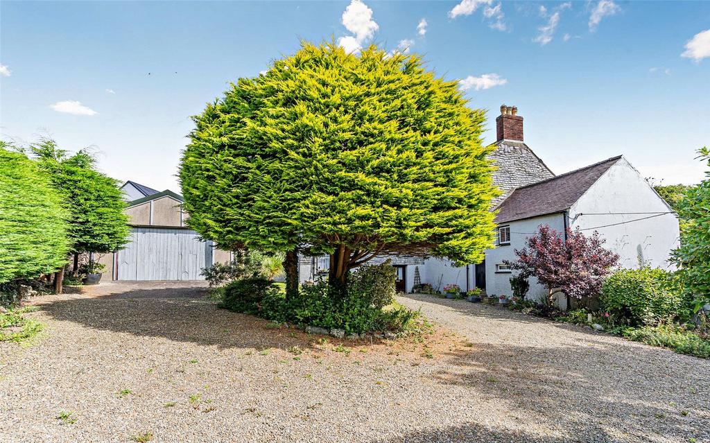 Rear Courtyard