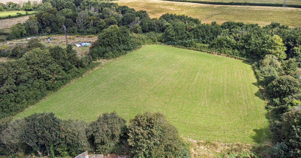 Pasture Field