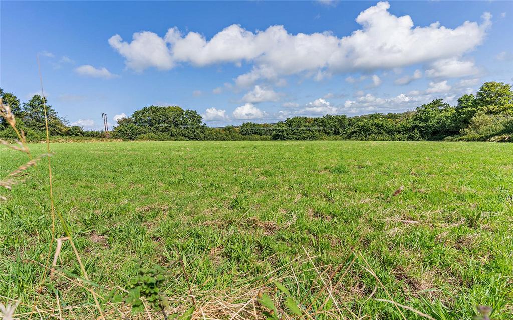 Pasture Field