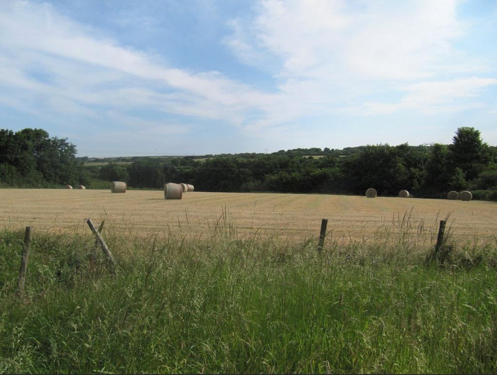 Pasture Field