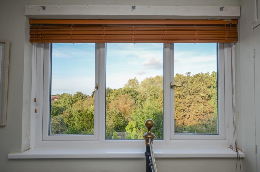Window view.jpg