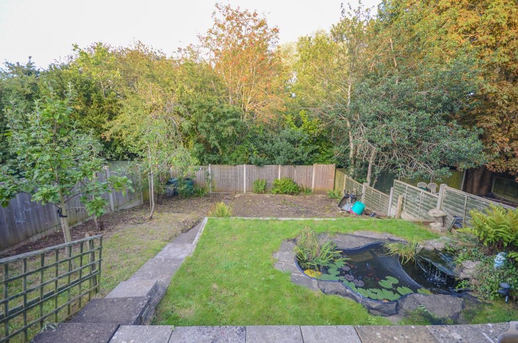 Garden pic 2.jpg
