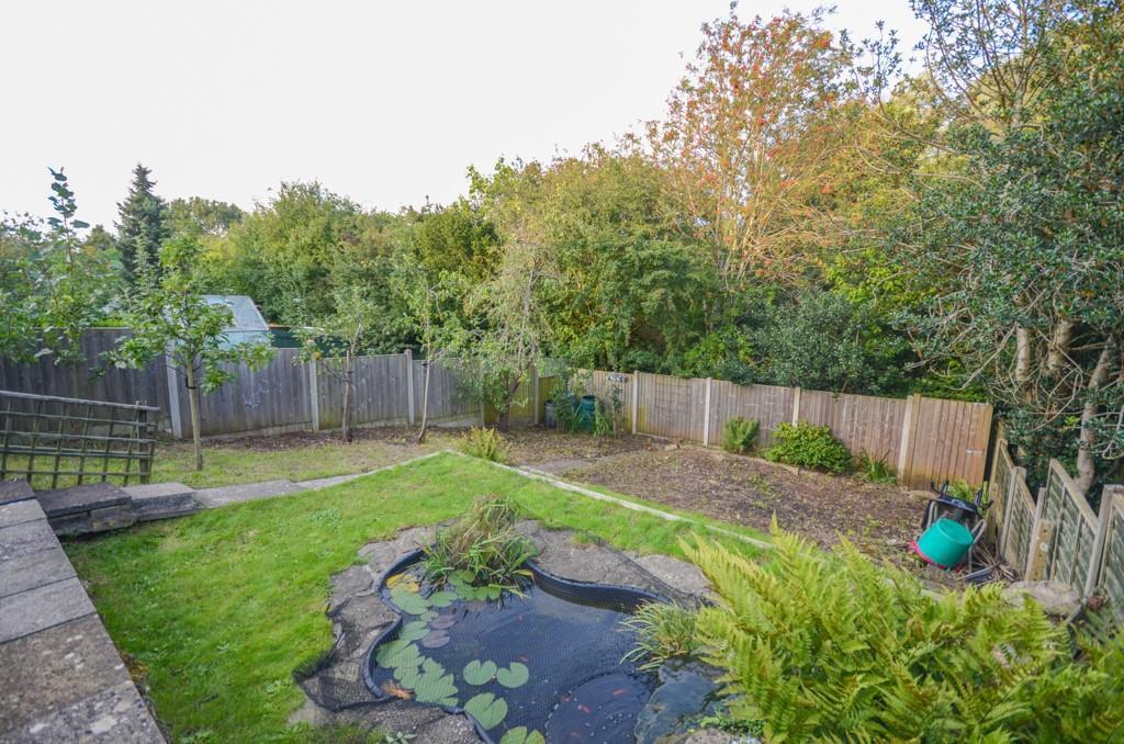 Garden pic 3.jpg