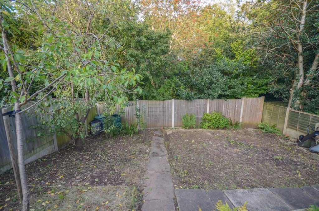 Garden pic 4.jpg