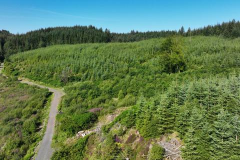 Woodland for sale, Glencruitten Woodland, Glencruitten PA34