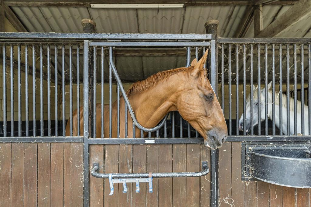 Stables