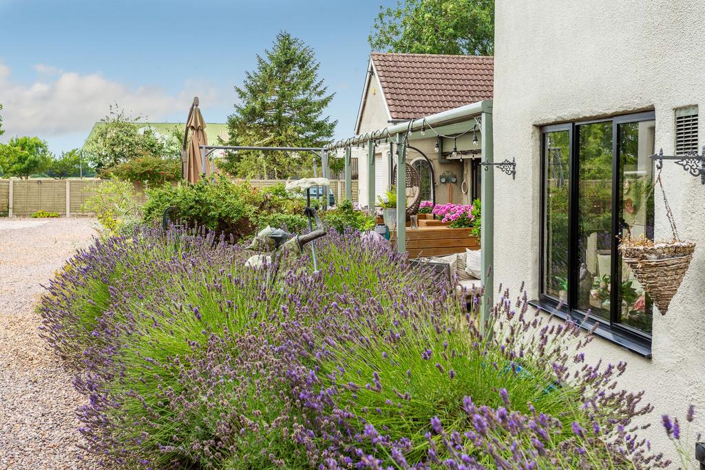 Garden 4
