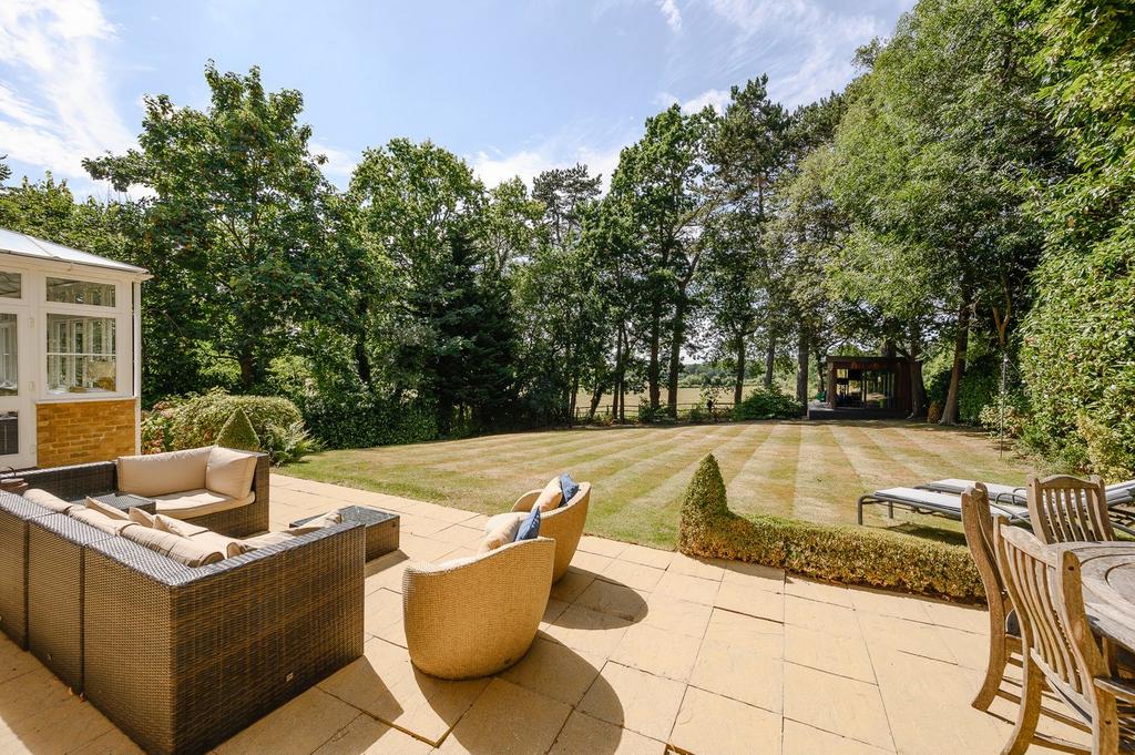 Lawn and Patio Areas