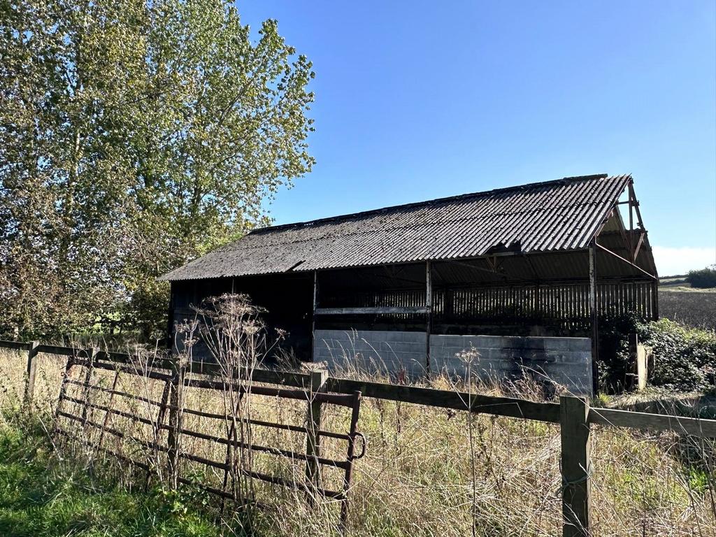 Picture No. 08