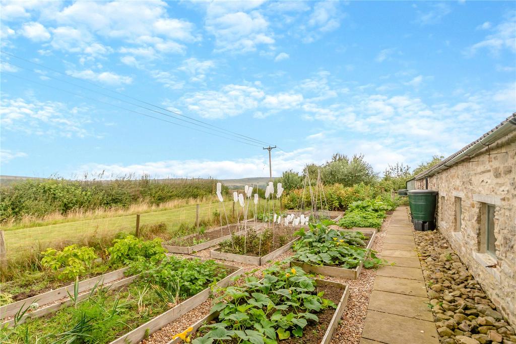 Raised Veg Patch