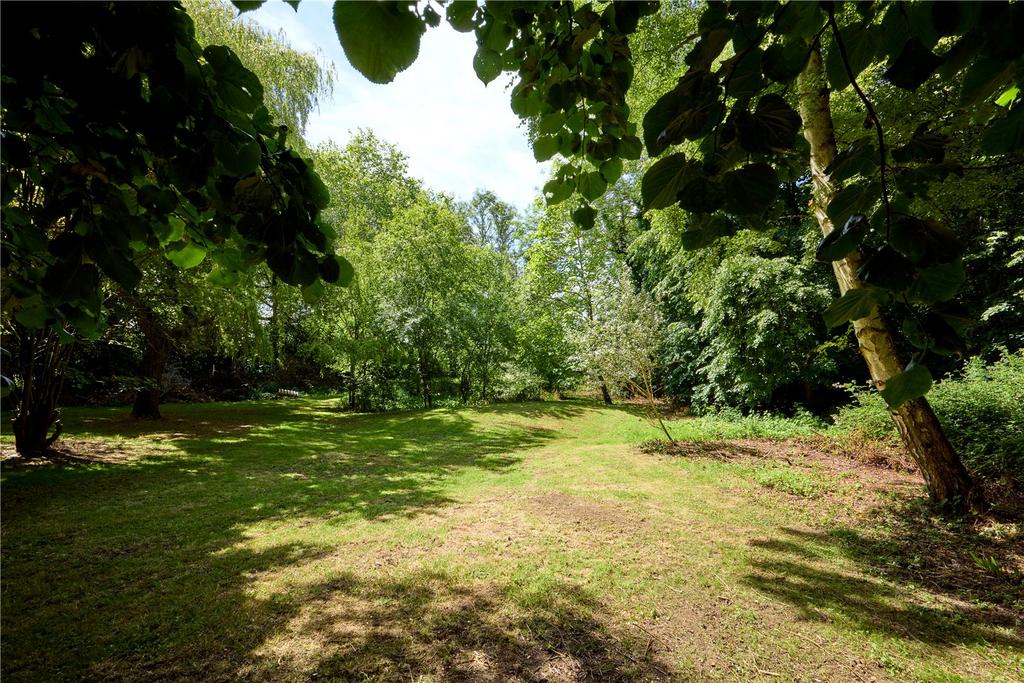Woodland