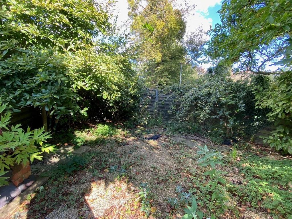 Garden.jpg