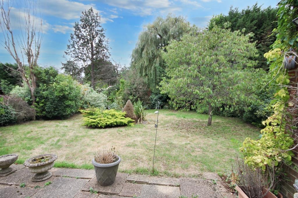.garden3.JPG