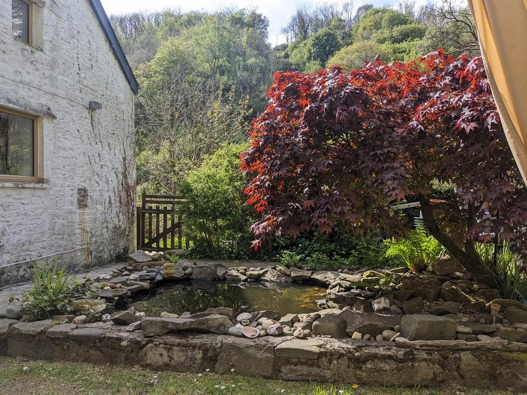 Pond.jpg