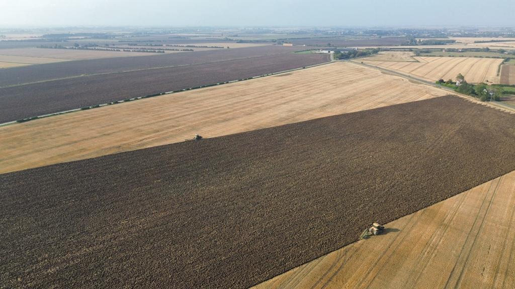 Land - Lot 1