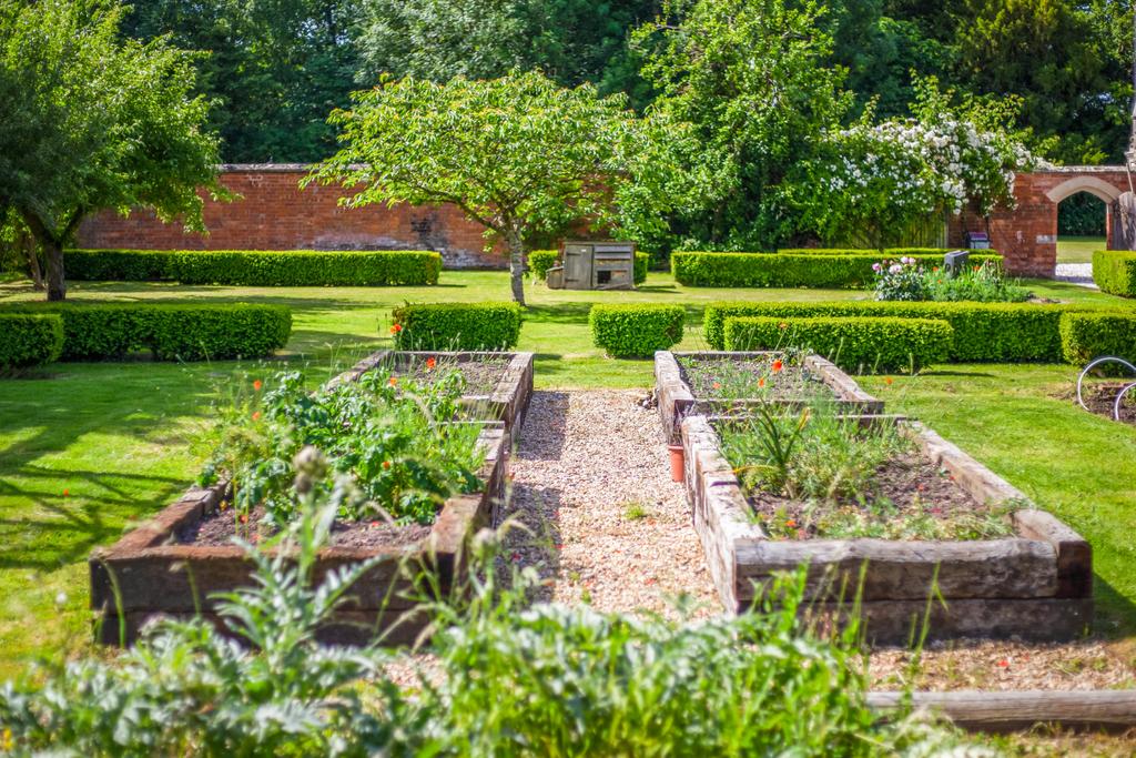 Raised Vegetable Bed