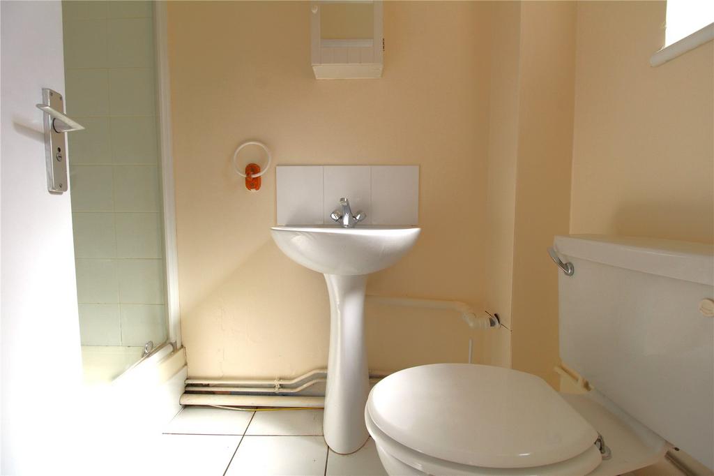 Picture 8