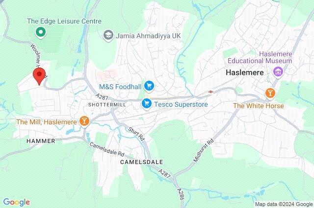 Google Maps Image