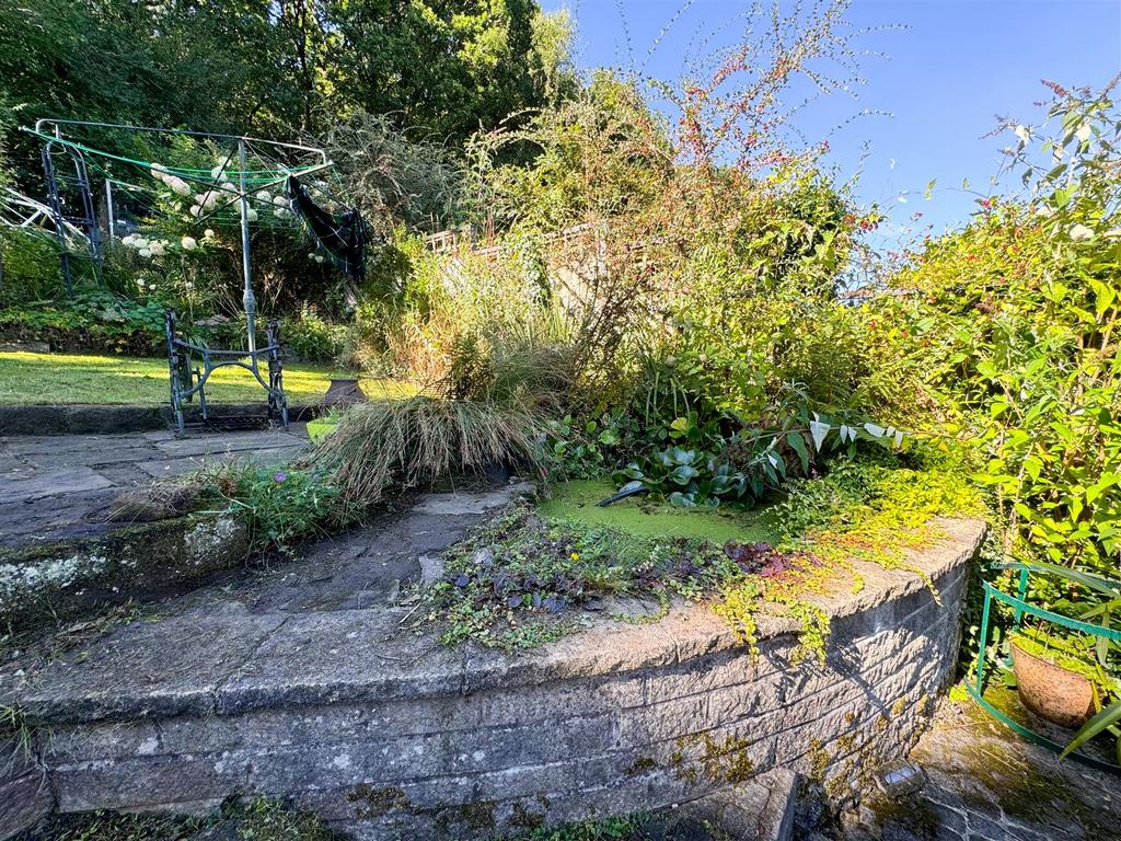 Raised pond