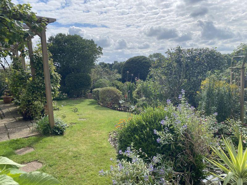 The Rear Garden