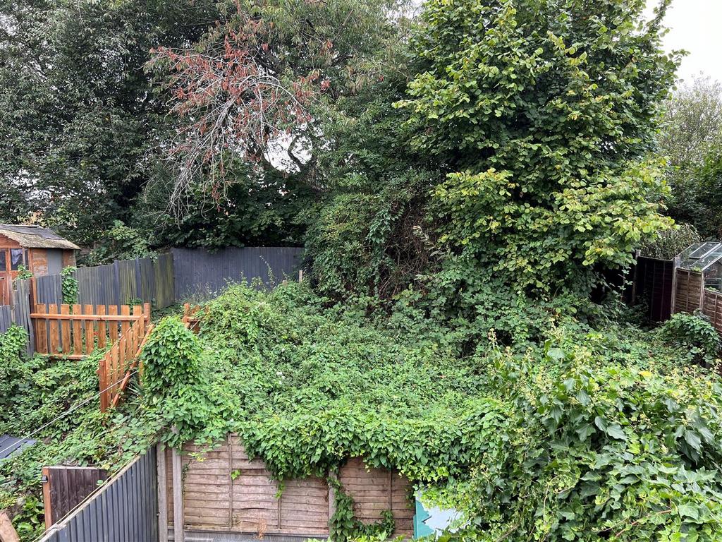 Garden from 1st flooor.jpg