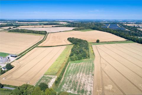 Land for sale, Lot 2 | Littleton Farm, Crawley, Winchester, Hampshire, SO21