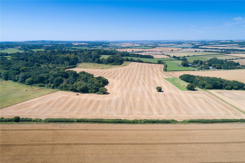 Lot 4 - Land