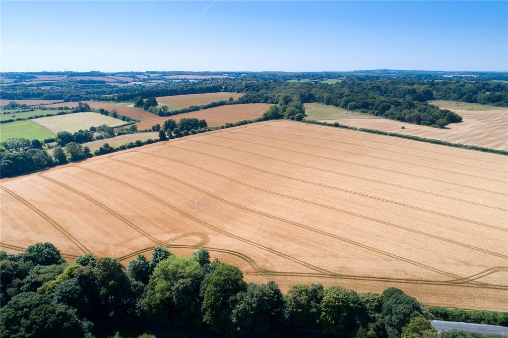 Lot 4 - Land