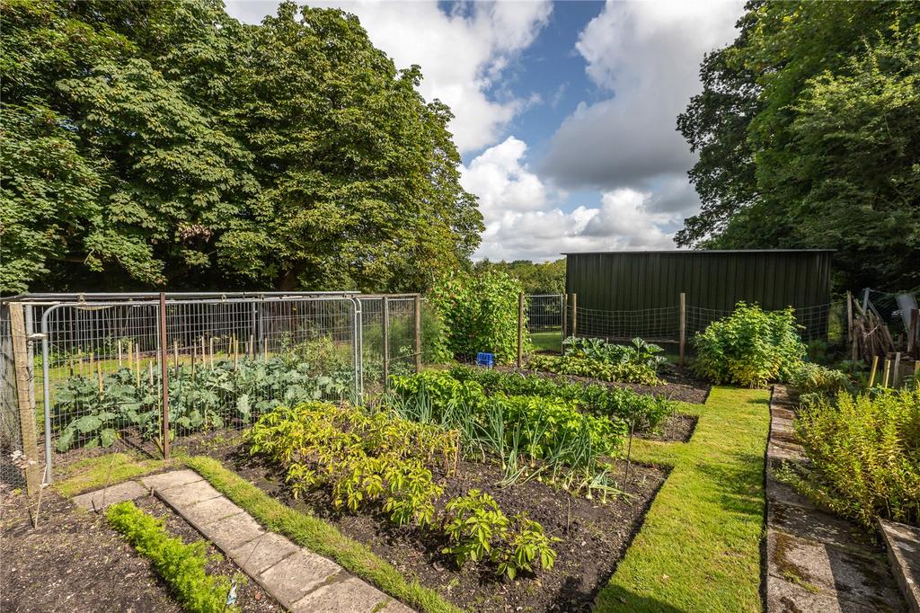 Vegetable Garden