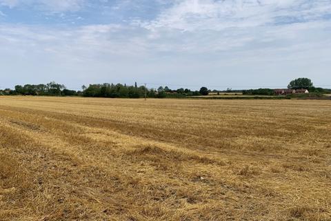 Farm land for sale, 10.16 Ha (25.11 Acres) Arable Land, Ploughboy Lane, Saham Hills, Thetford, Norfolk, IP25