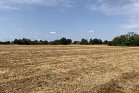 Farm land for sale, 10.16 Ha (25.11 Acres) Arable Land, Ploughboy Lane, Saham Hills, Thetford, Norfolk, IP25