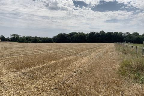 Farm land for sale, 10.16 Ha (25.11 Acres) Arable Land, Ploughboy Lane, Saham Hills, Thetford, Norfolk, IP25