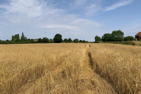 Farm land for sale, 10.16 Ha (25.11 Acres) Arable Land, Ploughboy Lane, Saham Hills, Thetford, Norfolk, IP25